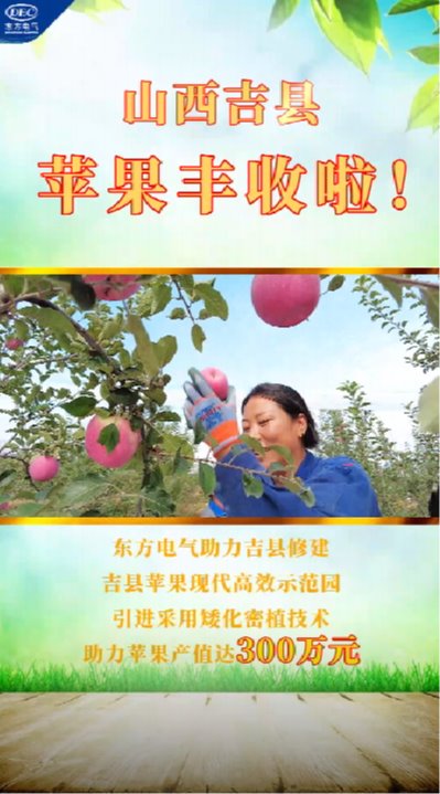 AG庄闲(中国)集团